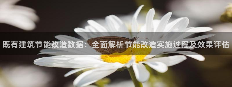 e尊国际地址：既有建筑节能改造数据：全面解析节能改造实施过程及效果评估