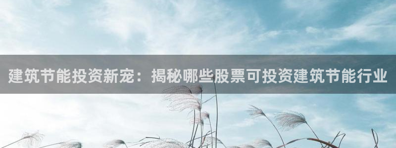 E尊国际：建筑节能投资新宠：揭秘哪些股票可投资建筑节能行业