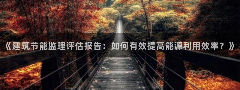 e尊国际的手机登录网站：《建筑节能监理评估报告：如何有效提高能源利用效率？》