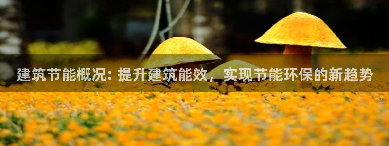e尊国际官网·网址：建筑节能概况: 提升建筑能效，实现节能环保的新趋势