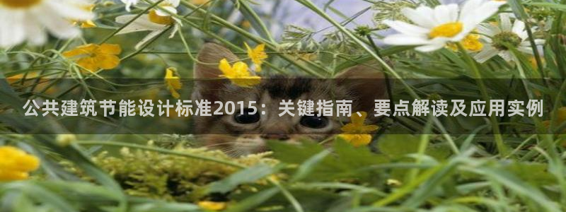 E尊国际：公共建筑节能设计标准2015：关键指南、要点解读及应用实例