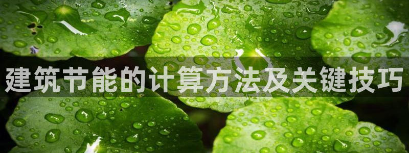 e尊国际平台：建筑节能的计算方法及关键技巧