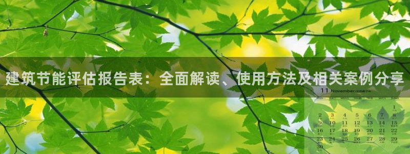 e尊国际是干什么的