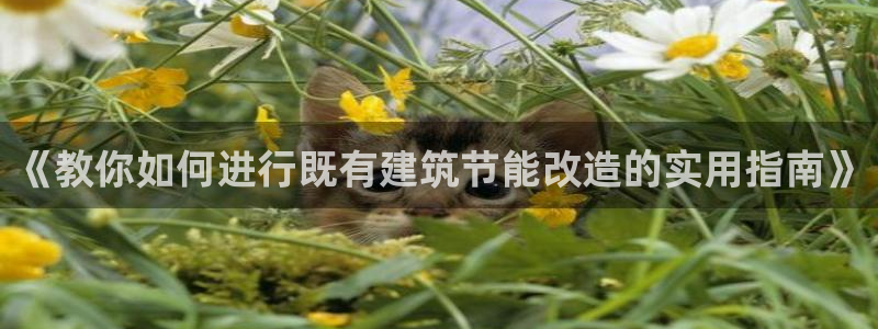 e尊国际地址