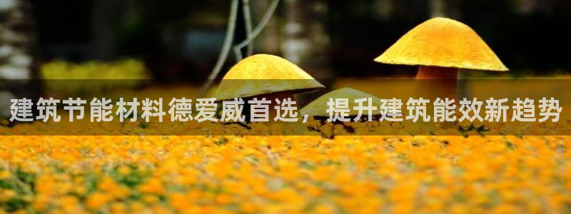 e尊国际官网