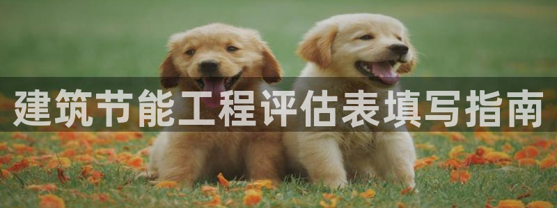 e尊国际可靠吗
