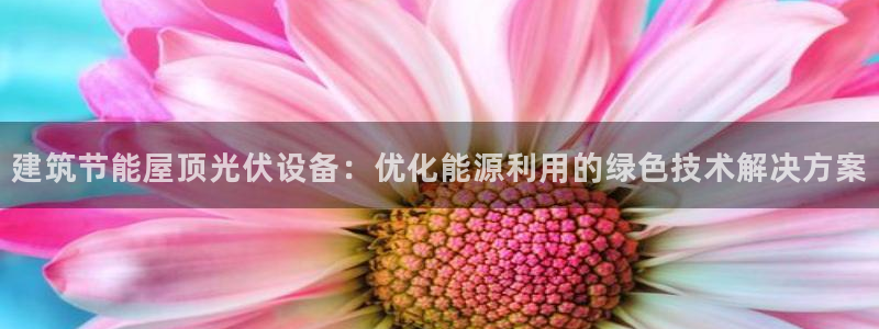 e尊国际是个黑网