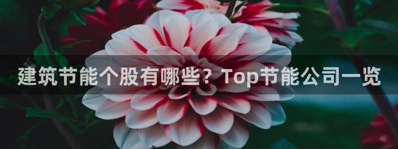 e尊国际客服：建筑节能个股有哪些？Top节能公司一览