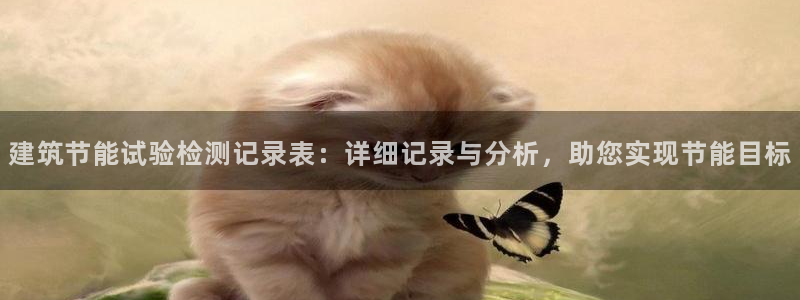 E尊国际