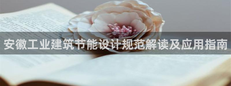 e尊国际的手机登录网站：安徽工业建筑节能设计规范解读及应用指南