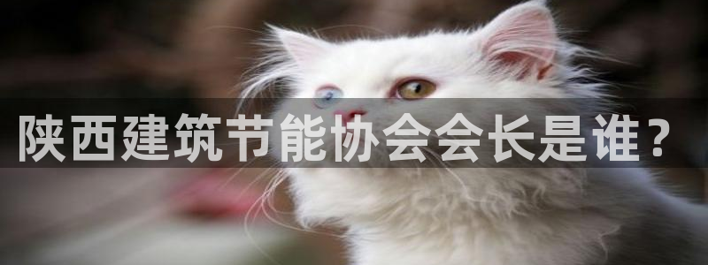e尊国际官网·网址：陕西建筑节能协会会长是谁？