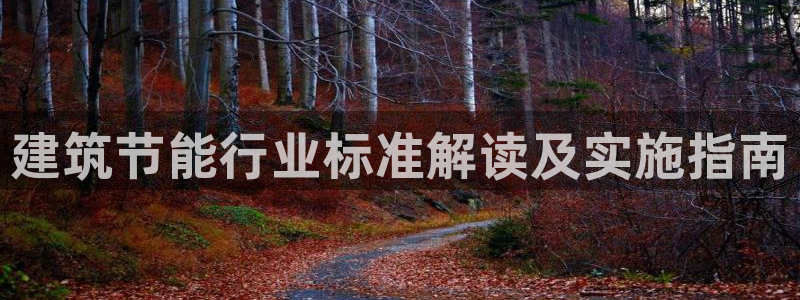 e尊国际平台