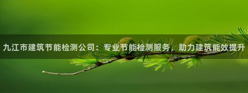 e尊国际app：九江市建筑节能检测公司：专业节能检测服务，助力建筑能效提升