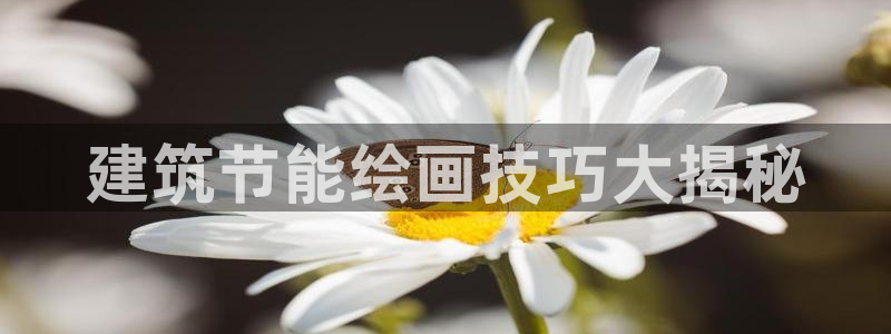 e尊国际官方网站：建筑节能绘画技巧大揭秘