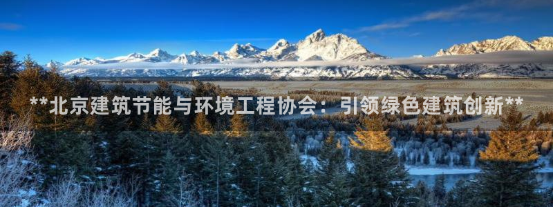 e尊国际是个黑网：**北京建筑节能与环境工程协会：引领绿色建筑创新**