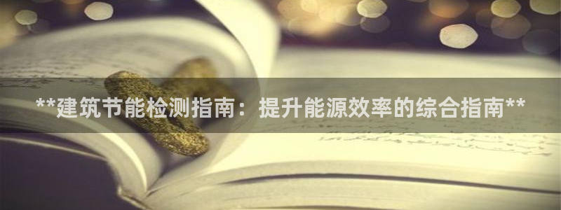 e尊国际官方网站：**建筑节能检测指南：提升能源效率的综合指南**