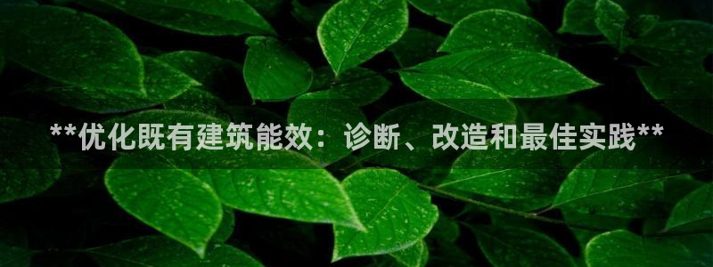 e尊国际娱乐官网地址：**优化既有建筑能效：诊断、改造和最佳实践**