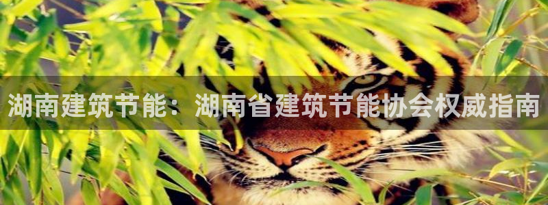 e尊国际网址：湖南建筑节能：湖南省建筑节能协会权威指南
