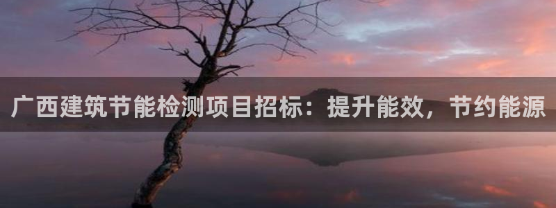 e尊国际的手机登录网站：广西建筑节能检测项目招标：提升能效，节约能源