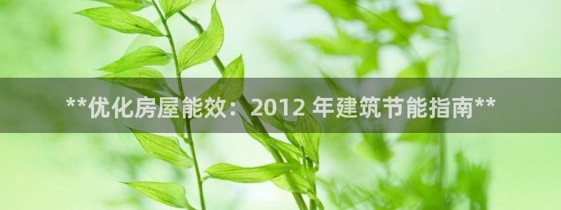 e尊国际-e尊国际官网：**优化房屋能效：2012 年建筑节能指南**