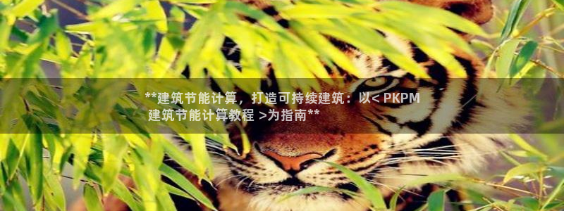 e尊国际平台：**建筑节能计算，打造可持续建筑：以< PKPM
 建筑节能计算教程 >为指南**