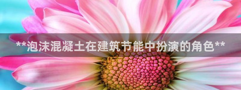 e尊国际客户端：**泡沫混凝土在建筑节能中扮演的角色**