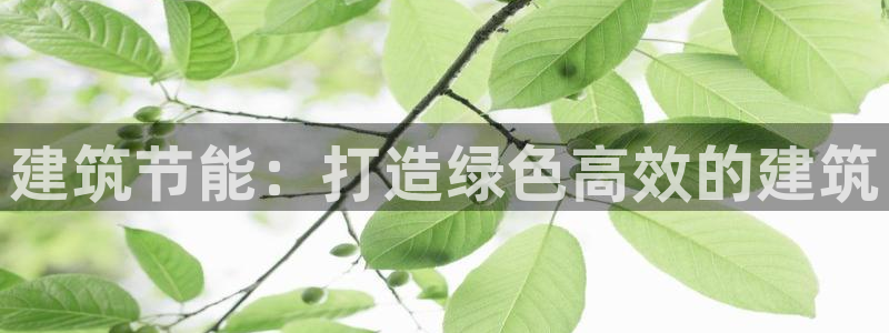e尊体育：建筑节能：打造绿色高效的建筑