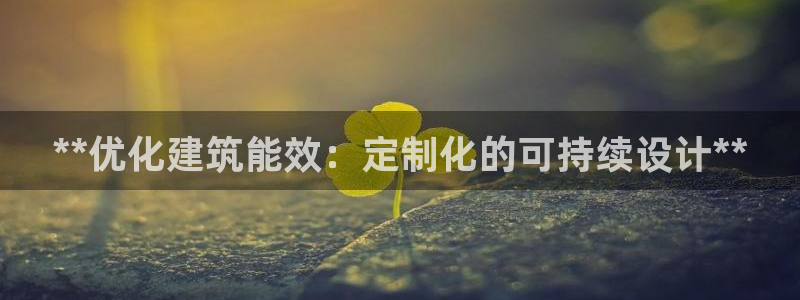 E尊国际网站：**优化建筑能效：定制化的可持续设计**
