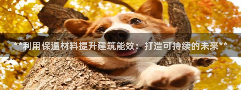 e尊国际娱乐官网地址：**利用保温材料提升建筑能效：打造可持续的未来**