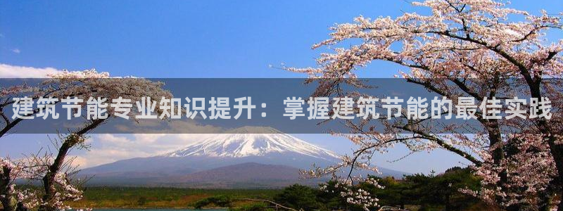 尊亿游戏国际官网：建筑节能专业知识提升：掌握建筑节能的最佳实践