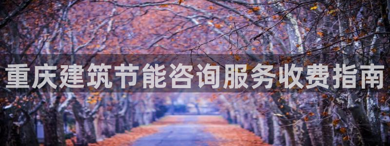 e尊国际官网：重庆建筑节能咨询服务收费指南