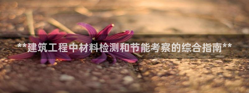 e尊国际网址：**建筑工程中材料检测和节能考察的综合指南**