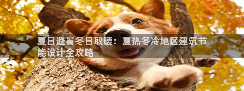 e尊国际是干什么的：夏日避暑冬日取暖：夏热冬冷地区建筑节
能设计全攻略