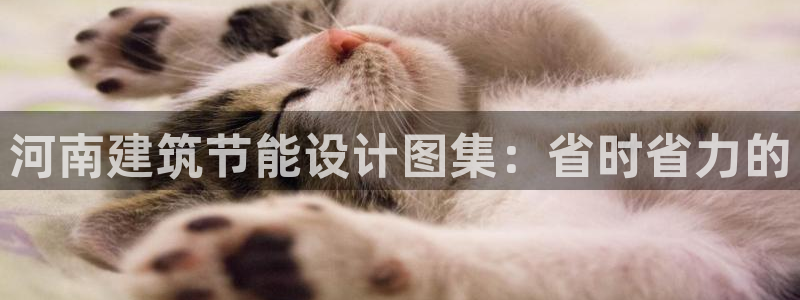 E尊国际网站：河南建筑节能设计图集：省时省力的