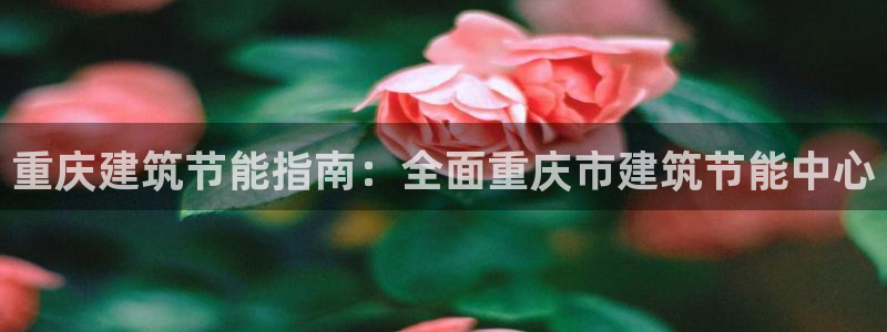 e尊国际客户端：重庆建筑节能指南：全面重庆市建筑节能中心