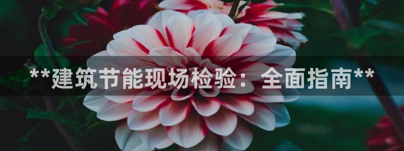 e尊国际官方网站：**建筑节能现场检验：全面指南**