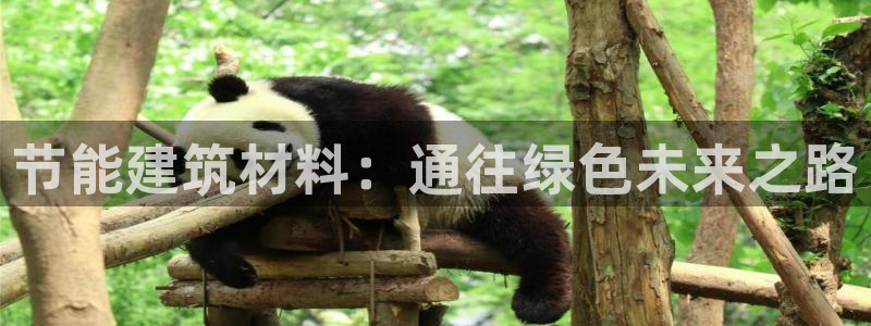e尊国际app：节能建筑材料：通往绿色未来之路