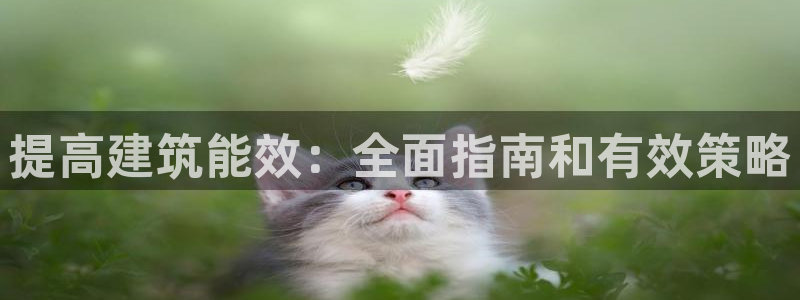 尊亿游戏国际官网：提高建筑能效：全面指南和有效策略