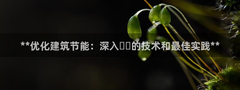 e尊国际官网：**优化建筑节能：深入스빌的技术和最佳实践**