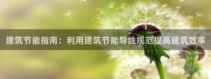 e尊国际官网app：建筑节能指南：利用建筑节能导线规范提高建筑效率