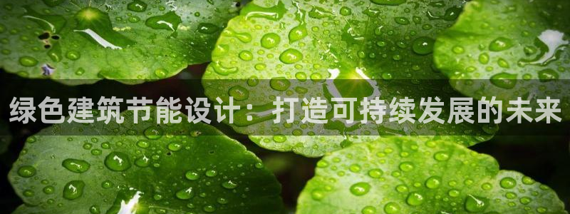 e尊国际官网·网址：绿色建筑节能设计：打造可持续发展的未来