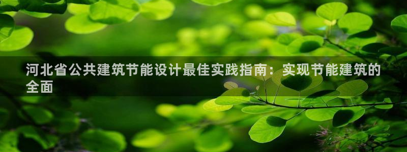 e尊官网：河北省公共建筑节能设计最佳实践指南：实现节能建筑的
全面