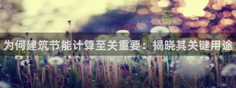 e尊国际客户端：为何建筑节能计算至关重要：揭晓其关键用途
