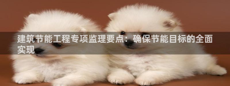 e尊国际7779：建筑节能工程专项监理要点：确保节能目标的全面
实现