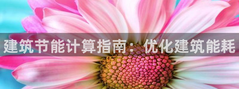 谁知道e尊国际的网址：建筑节能计算指南：优化建筑能耗