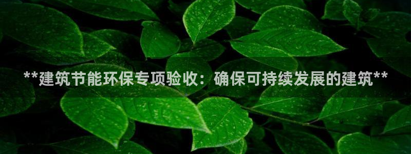 e尊国际平台：**建筑节能环保专项验收：确保可持续发展的建筑**