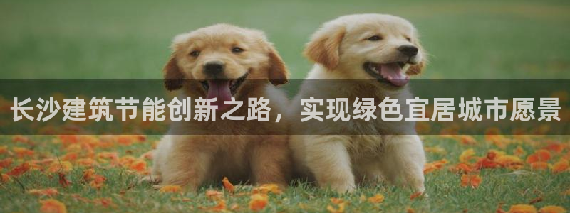 e尊国际官网·网址：长沙建筑节能创新之路，实现绿色宜居城市愿景