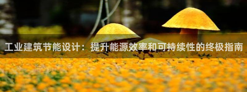 E尊国际网站：工业建筑节能设计：提升能源效率和可持续性的终极指南
