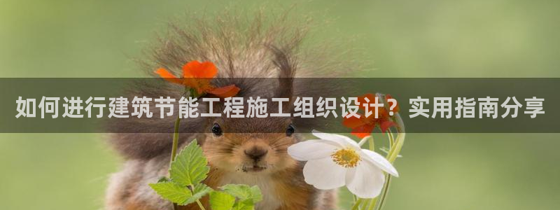 E尊国际：如何进行建筑节能工程施工组织设计？实用指南分享