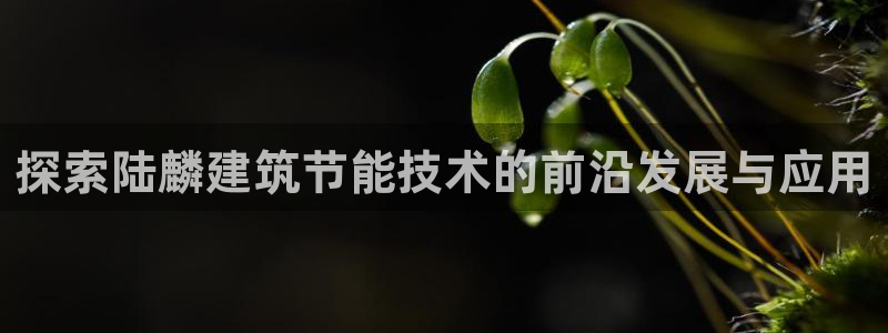 尊亿游戏国际官网：探索陆麟建筑节能技术的前沿发展与应用